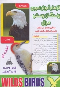 کارتهای آموزش تصویری(پرندگان وحشی)